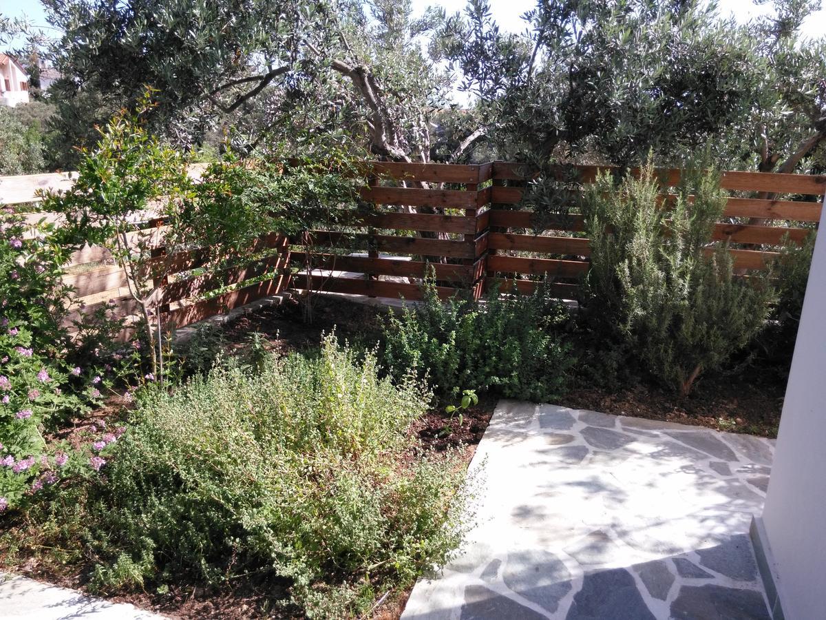 Raches  Olivia Villas מראה חיצוני תמונה